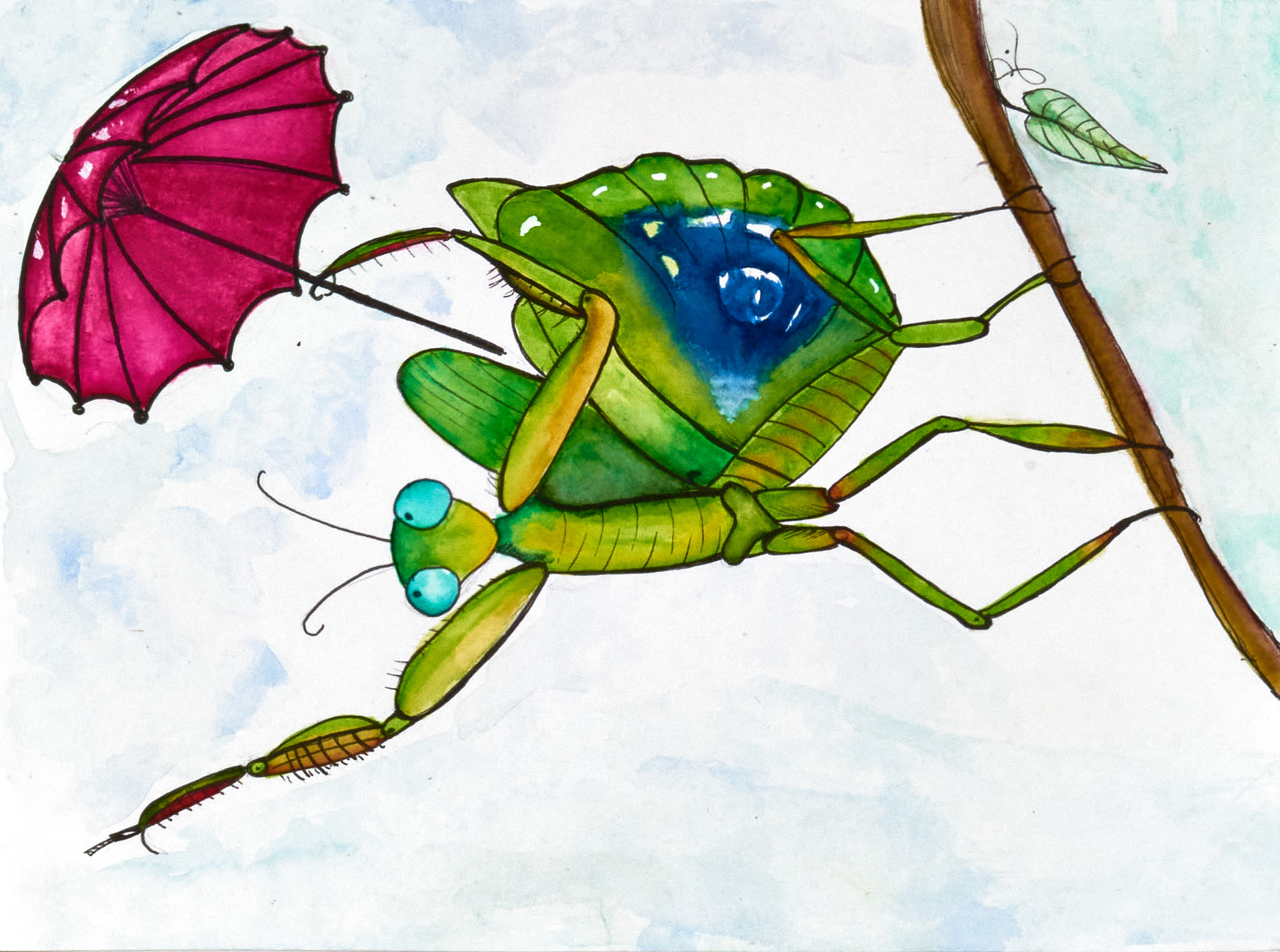 Childbook Illustration Praying Mantis